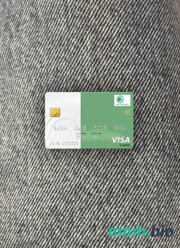 Sudan Saudi Sudanese bank visa classic card wygląd fotograficzny skan PSD + zdjęcie
